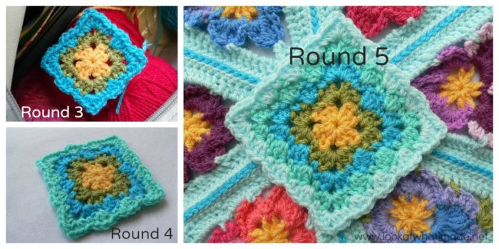 Harlequin Shells by Carolyn Christmas Photo Tutorial