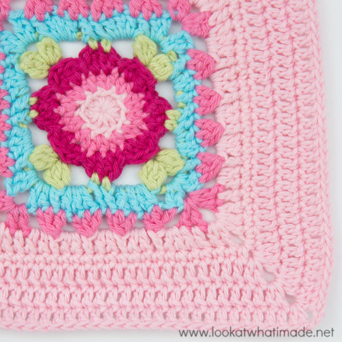 How to Crochet Rose Border
