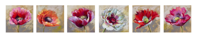 Poppy Collector Nel Whatmore